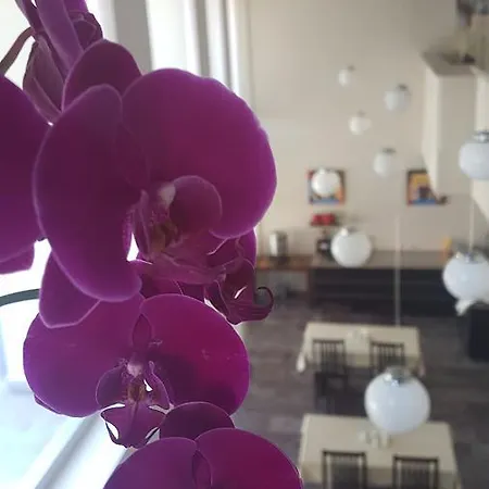 伊勒里公寓式酒店